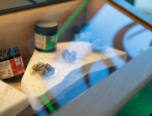 Brookline residents divided over ballot question to repeal recreational cannabis legalization