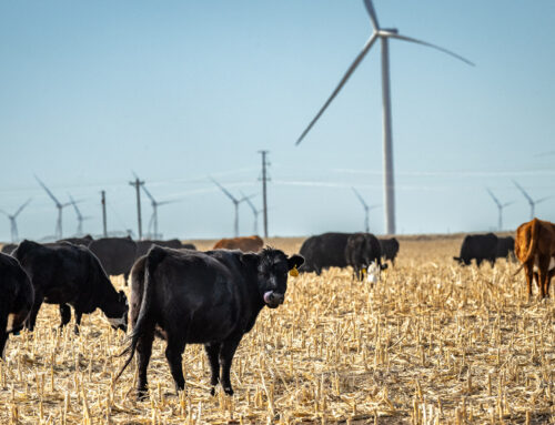 How tiny Kit Carson County has grown into a green energy giant