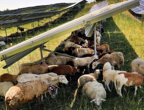 Ohio blocks big solar farm, despite apparently fake public comments