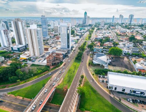 Global conference on protecting migratory species kicks off in Brazil
