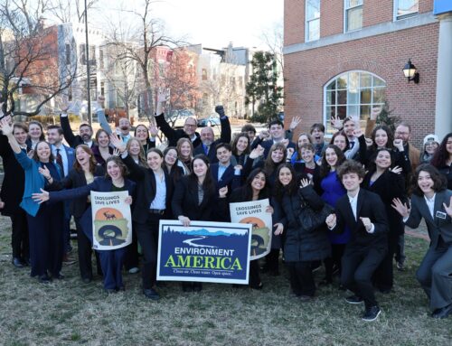 Our federal lobby day on wildlife crossings and national parks