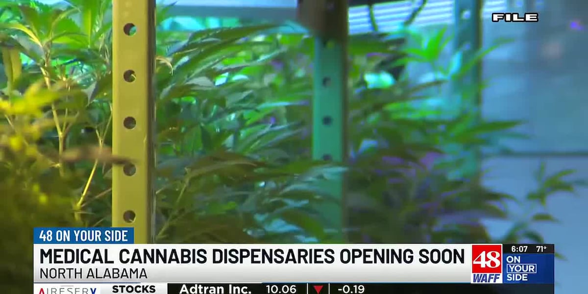 One Huntsville doctor is among the first to bring medical cannabis to Alabama patients soon