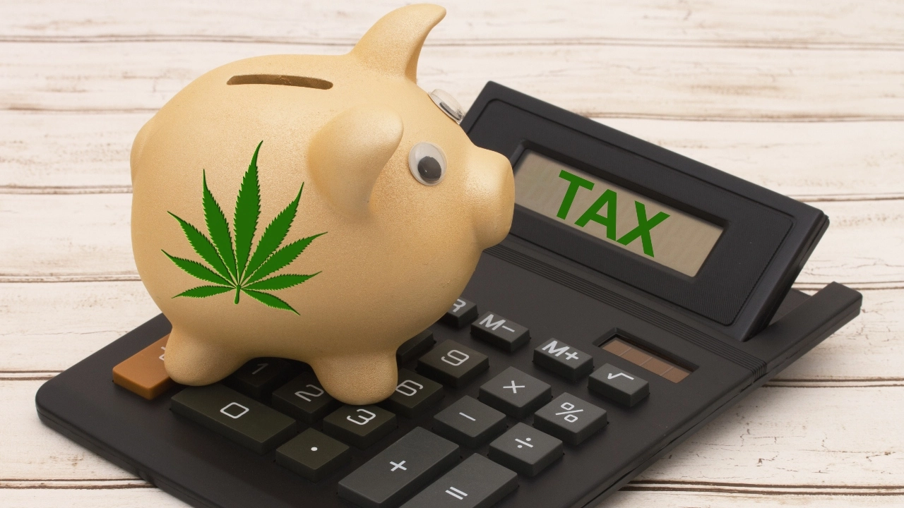 Cannabis tax cuts proposed in two states