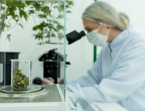 Group urges east Idahoans to help get medical cannabis initiative on 2026 ballot