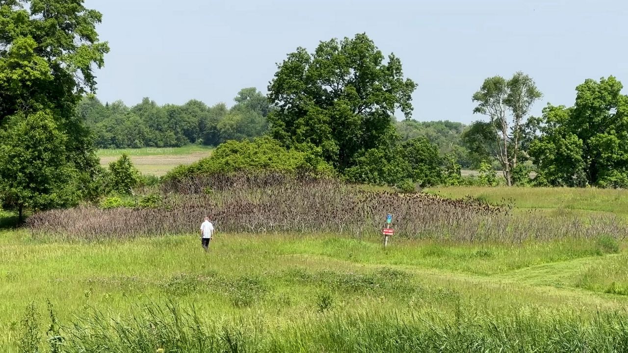 In Focus: Moms Clean Air Force advocates for environmental issues in Wisconsin In Focus: Moms Clean Air Force advocates for environmental issues in Wisconsin