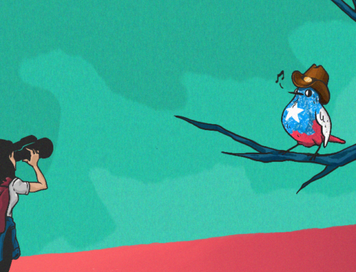 Austin’s Star Is Still Shining Bright: Venture Funding To City’s Startups Hits All-Time Hi