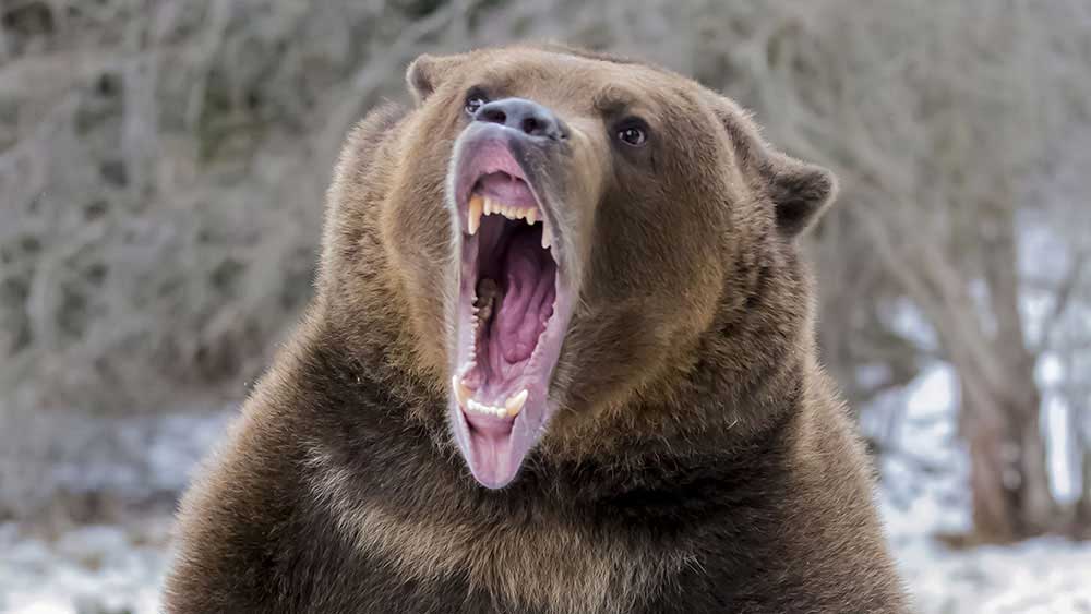 Stocks Break Lower, Oil Prices At 0. What To Do Now.