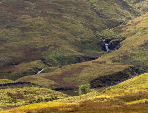 A valley worth investing in