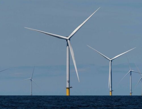 Trump administration will pay a French company $1 billion in taxpayer funds to not build wind farms