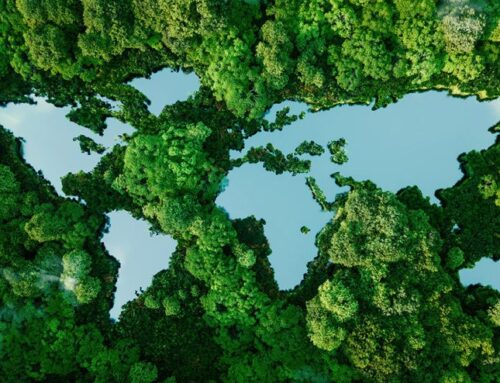 C4E Continues to Foster Environmental Conversation