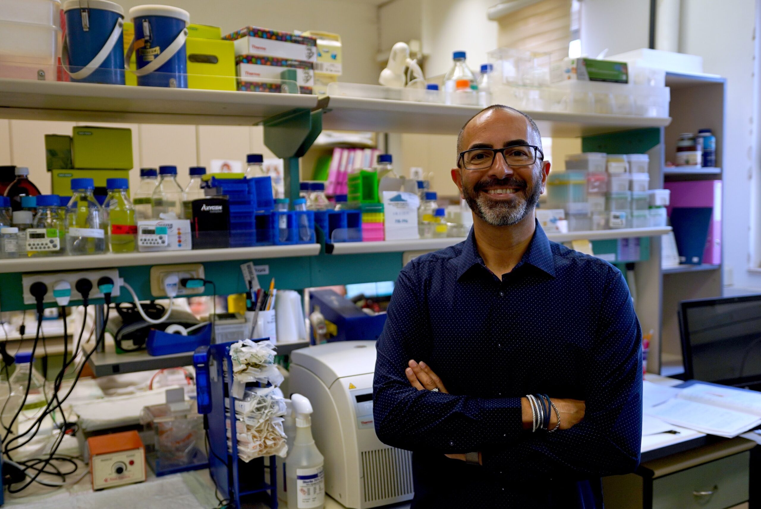 Cannabis compounds show promise in fighting fatty liver disease