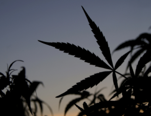 Wisconsin Introduces Bill to Legalize Cannabis and Impose Guardrails on Intoxicating Hemp Products