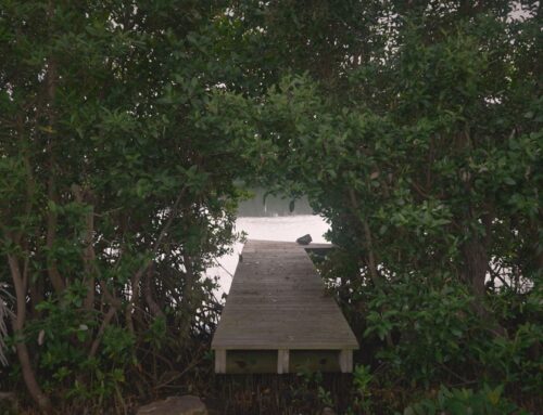 How monetary donations are helping some Florida developers clear environmental hurdles