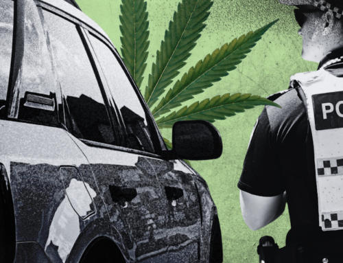 Can I drive when taking medicinal cannabis? Is it safe?