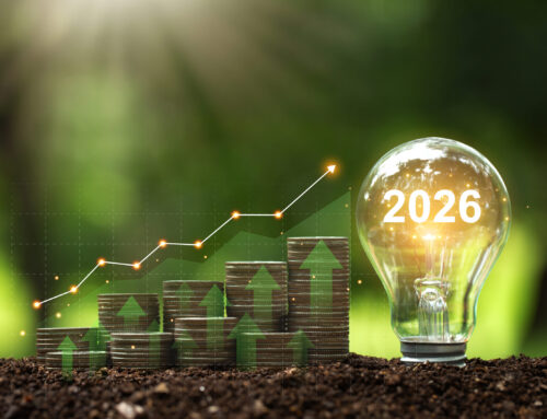 Survey: Nearly 70% of Individual Investors Expect Stock Market Gains in 2026, Despite Half