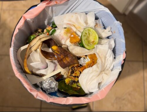 The environmental, economic and social impacts of food waste