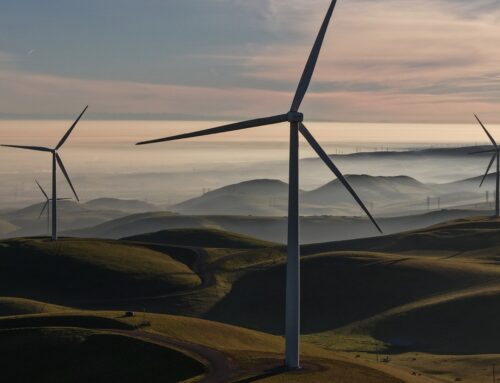 Energy Crisis Isn’t Slowing Down Trump’s Vendetta Against Wind Energy