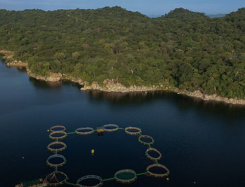 The 5 most popular stories on Africa Private Equity News the past week