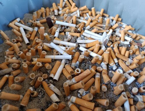 What happens to cigarette butts after 10 years in the environment