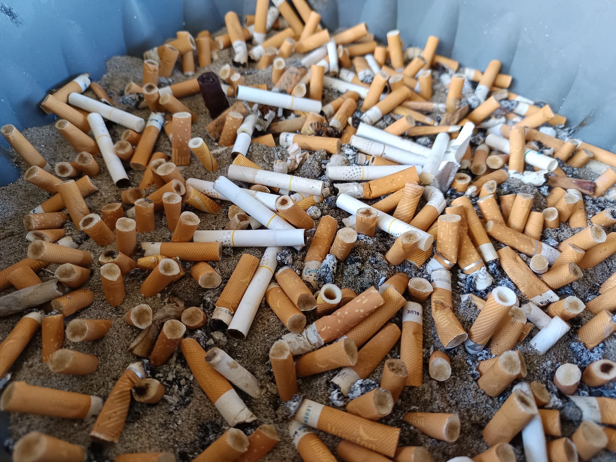 What happens to cigarette butts after 10 years in the environment