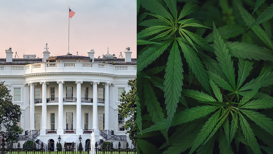 White House Schedules Meeting for FDA’s New CBD Compliance Enforcement Policy