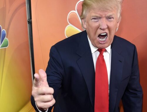 Amazon discussed ‘Apprentice’ reboot with Donald Trump Jr. hosting: Report