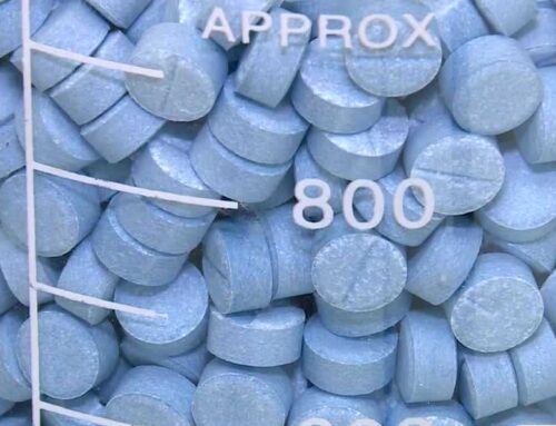 Cannabis processing facility in Jasper ready to produce first batch of meds