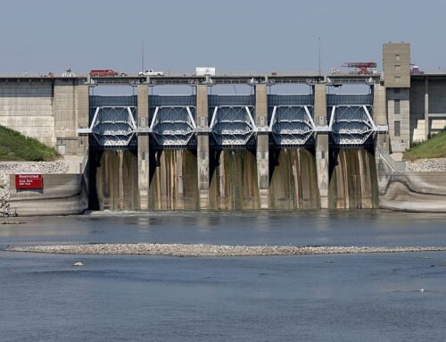 Central Asian countries collaborate to push green energy transition