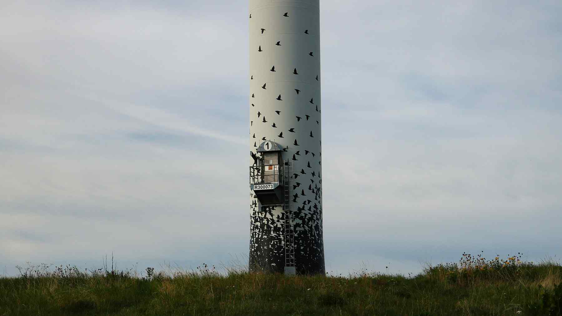 Ohio approved more wind and solar permits than any state studied but also killed more projects than any other