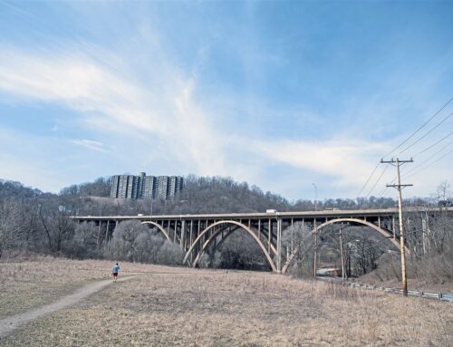 Solar farm to help offset energy demand of four PPS schools