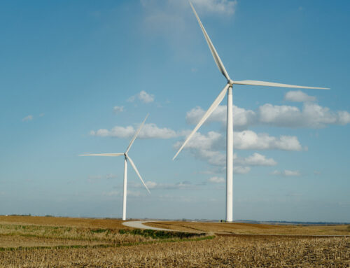 Judge Halts Trump Actions That Have Slowed Renewable Energy