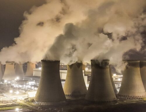 Drax claimed record £999m in subsidies for burning trees in 2025, thinktank says