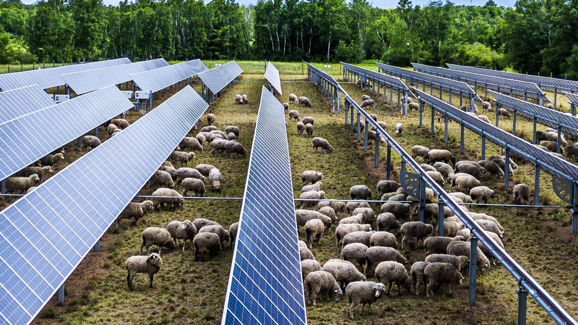New report shows bump in coal use in Minnesota as renewable energy growth flattens