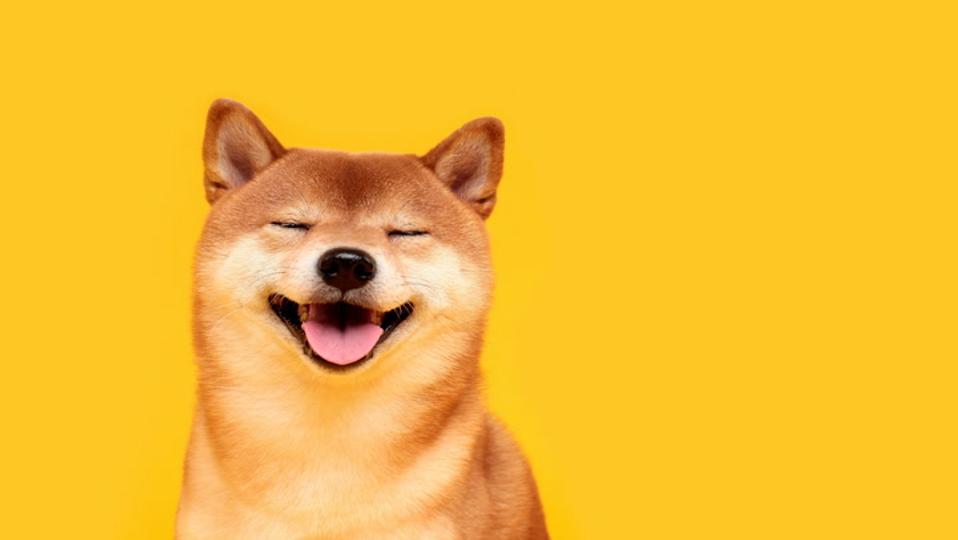 DOGE price: Dogecoin zooms 10% in breakaway from bitcoin as open interest hits year-high