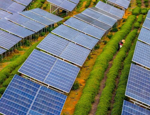 Clean energy generation exceeded rise in global electricity demand in 2025