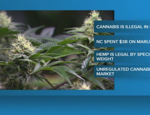 Driving impaired still includes cannabis: The latest on weed laws in NC