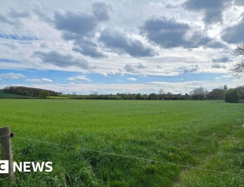 Solar farm decision a ‘done deal’, say villagers