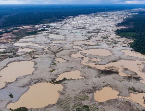 Peru election highlights lack of plans to tackle illegal mining despite growing environmental crisis