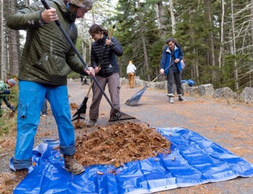 Bar Harbor targets June for resumption of lawn composting program
