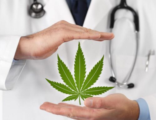 UW survey finds health care professionals want more training on cannabis and see four main adverse conditions
