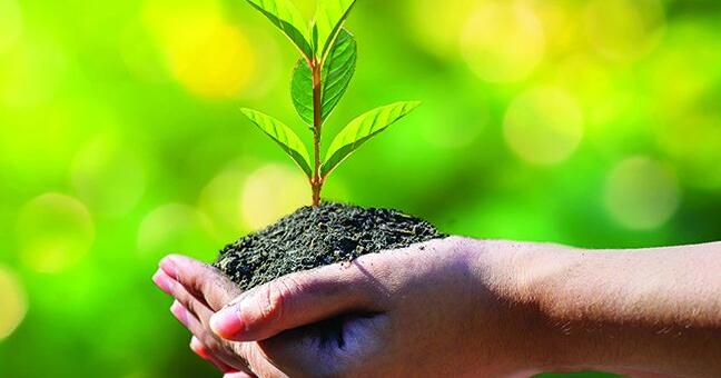 Simple steps to protect the environment Simple steps to protect the environment