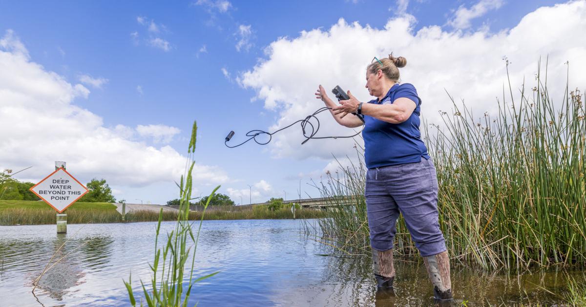 This old bayou helps define New Orleans. A new project is checking on its health.