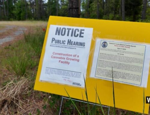 Cannabis growth facility eyes new spot for growth facility near Crisfield