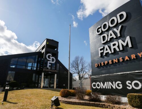 Cannabis businesses sue Good Day Farm for ‘suppressing competition’