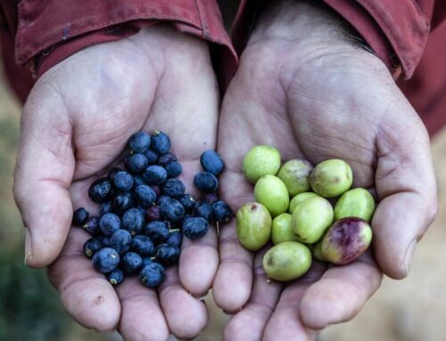 Climate change is already showing up in the cost of living