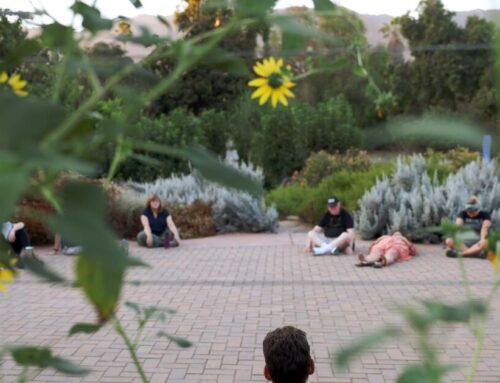 People ‘bathe’ in nature to get respite from chaotic news cycle