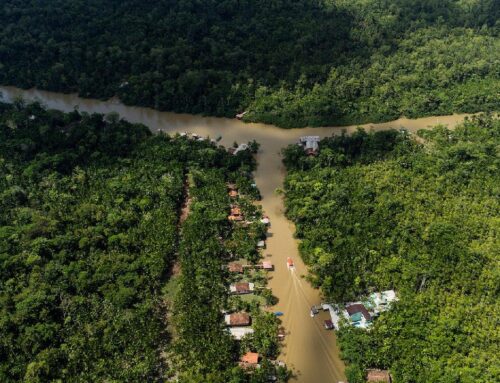 Deforestation in Brazil’s Amazon down 17% in Q1