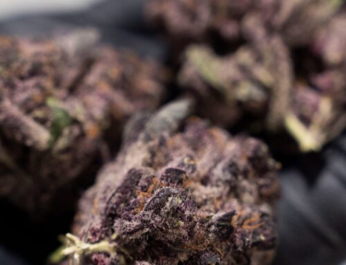 What’s the new law for THC in Tennessee? Ahead of 4/20, see cannabis rules