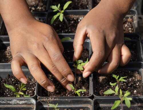 It’s Earth Day. See IndyStar’s latest coverage about the environment