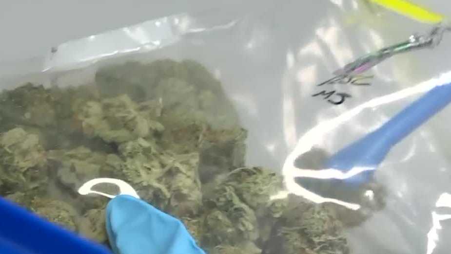 Maine legislature takes first votes on cannabis testing bill Maine legislature takes first votes on cannabis testing bill